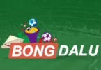 bongdalu livescore all leagues coverage